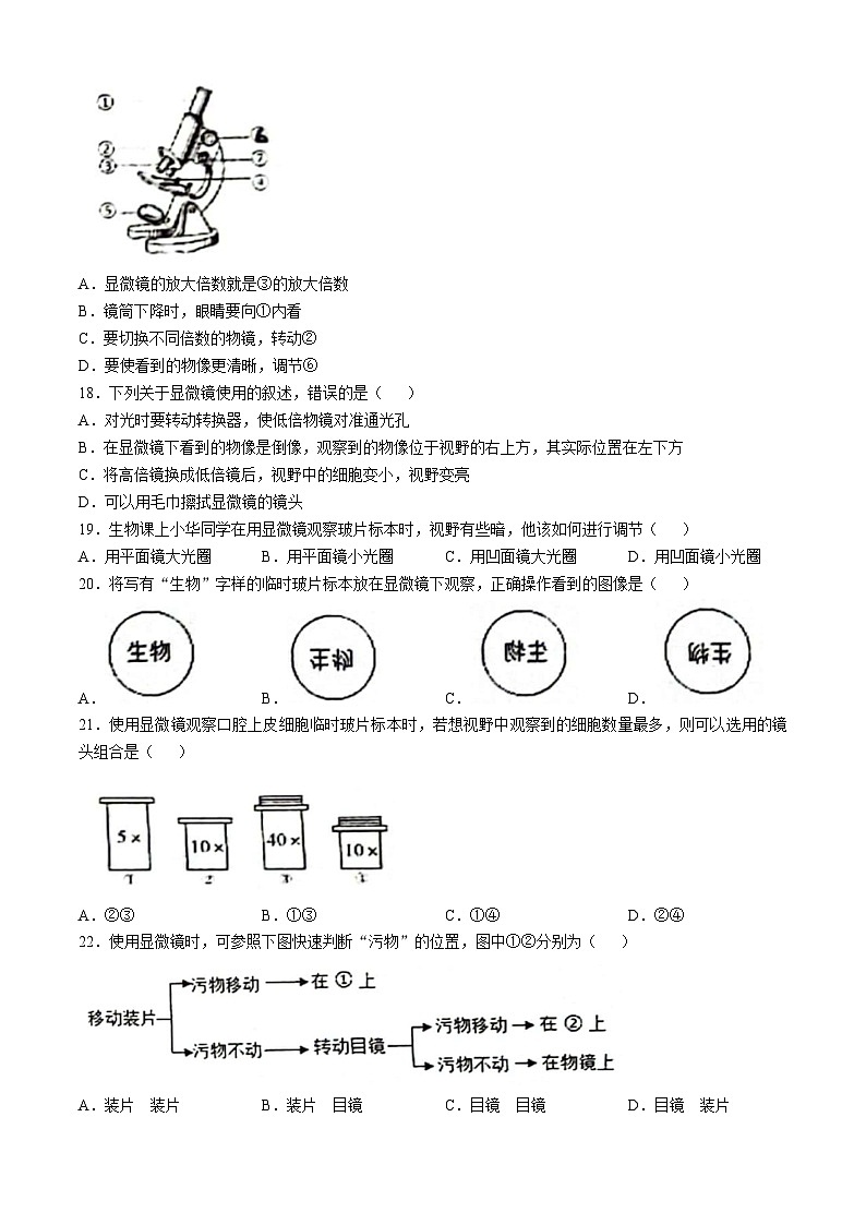 广东省珠海市第十一中学教育集团2024-2025学年七年级上学期期中质量监测生物试卷(无答案)第3页