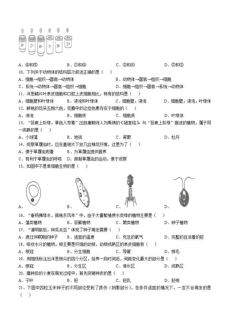 辽宁省盘锦市兴隆台区2023-2024学年七年级上学期期末生物学试题第2页
