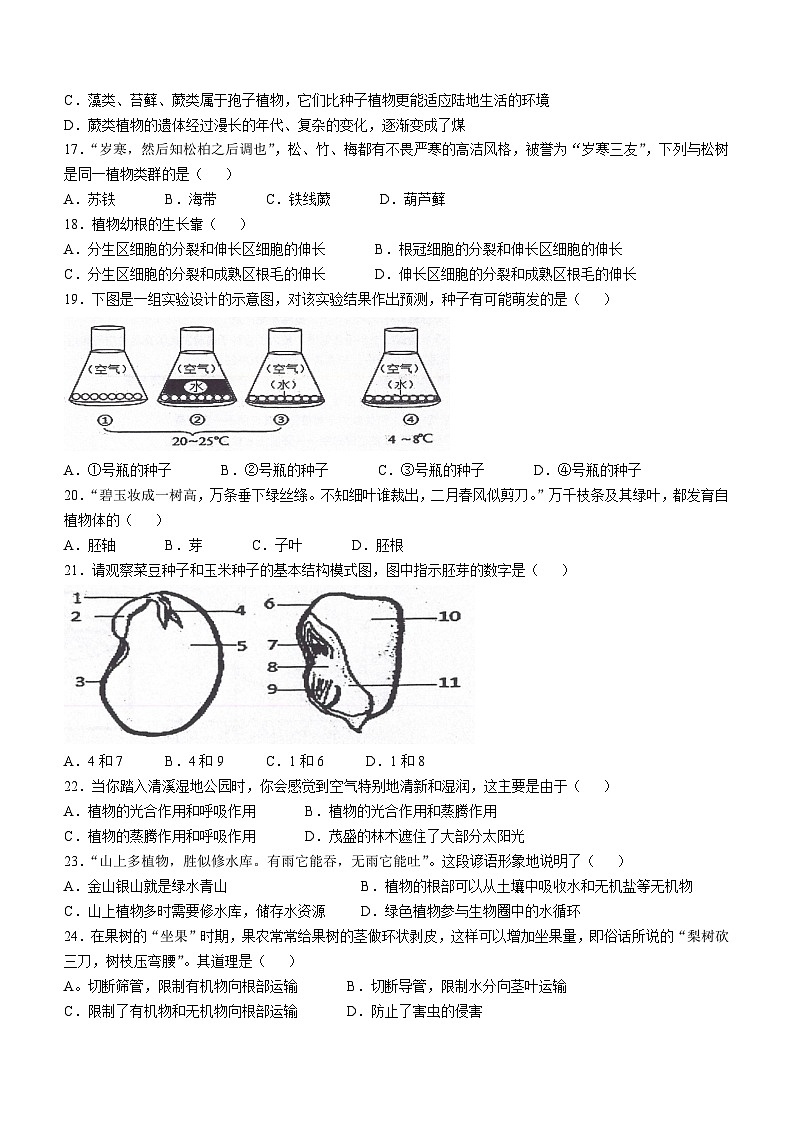 广东省河源市连平县2023-2024学年七年级上学期期末生物学试题03