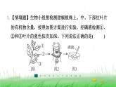 冀少版八年级生物上册第三、四、五章整合练课件