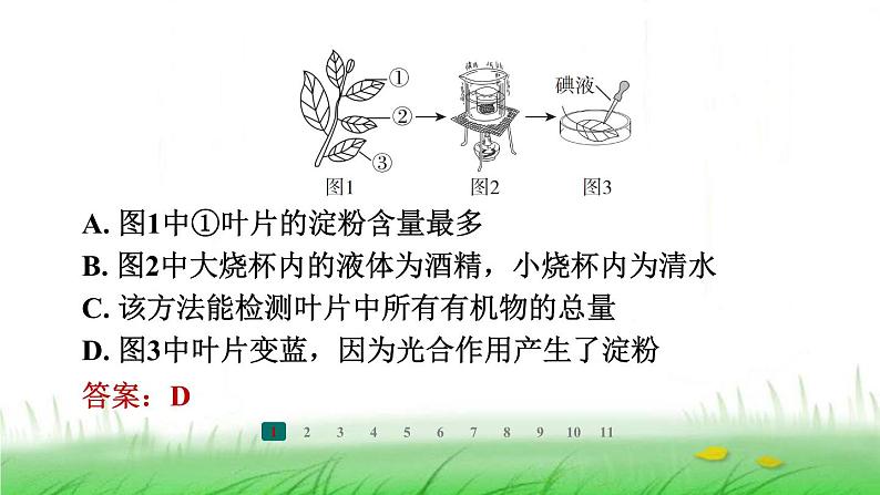 冀少版八年级生物上册第三、四、五章整合练课件第3页