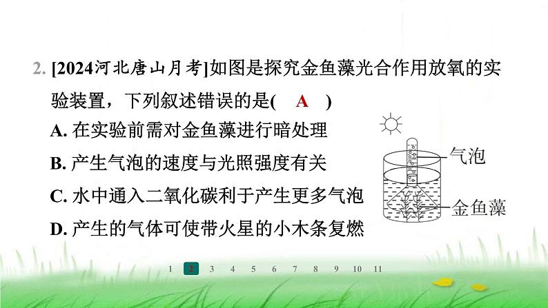 冀少版八年级生物上册第三、四、五章整合练课件第4页