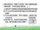 冀少版八年级生物上册第三、四、五章整合练课件