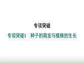 冀少版八年级生物上册专项突破1种子的萌发与植株的生长课件