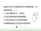 冀少版八年级生物上册专项突破1种子的萌发与植株的生长课件