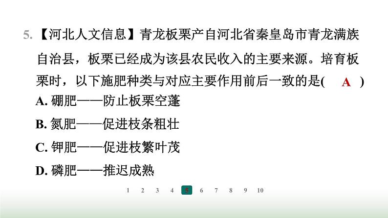 冀少版八年级生物上册专项突破1种子的萌发与植株的生长课件第7页