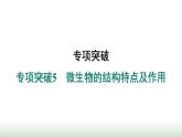 冀少版八年级生物上册专项突破5微生物的结构特点及作用课件