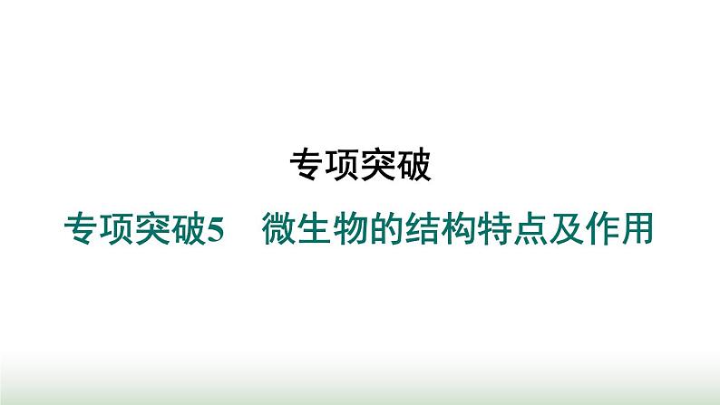 冀少版八年级生物上册专项突破5微生物的结构特点及作用课件第1页