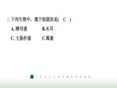 冀少版八年级生物上册专项突破5微生物的结构特点及作用课件