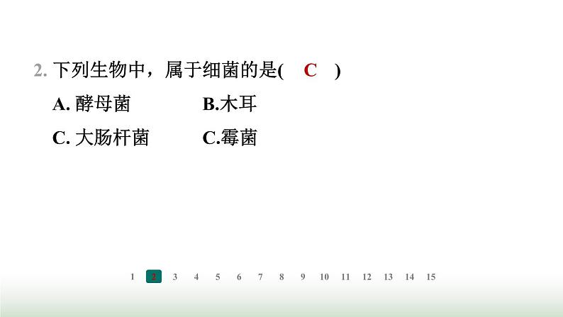 冀少版八年级生物上册专项突破5微生物的结构特点及作用课件第3页