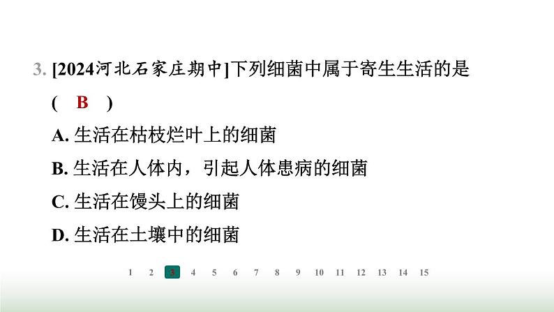 冀少版八年级生物上册专项突破5微生物的结构特点及作用课件第4页