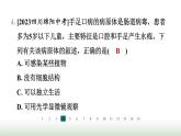 冀少版八年级生物上册专项突破5微生物的结构特点及作用课件