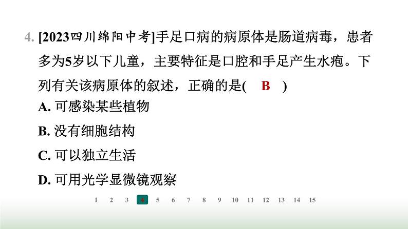 冀少版八年级生物上册专项突破5微生物的结构特点及作用课件第5页