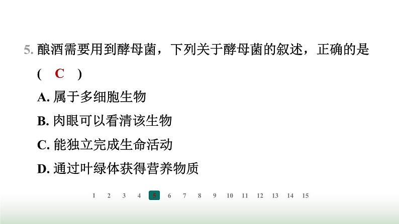 冀少版八年级生物上册专项突破5微生物的结构特点及作用课件第6页