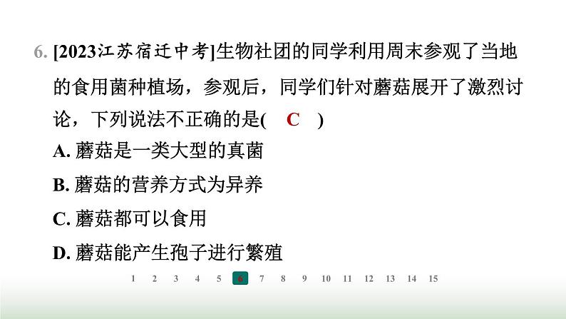 冀少版八年级生物上册专项突破5微生物的结构特点及作用课件第7页