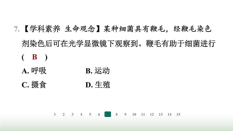 冀少版八年级生物上册专项突破5微生物的结构特点及作用课件第8页