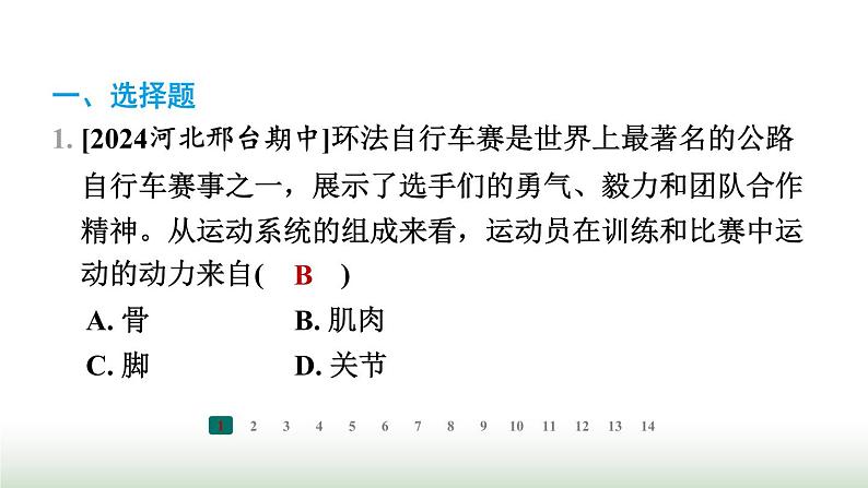 冀少版八年级生物上册专项突破4动物的运动与行为课件第2页