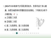 冀少版八年级生物上册专项突破4动物的运动与行为课件