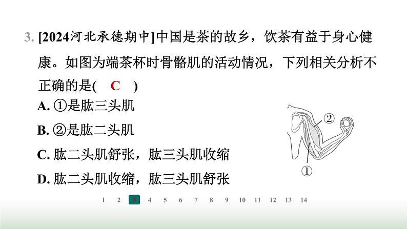 冀少版八年级生物上册专项突破4动物的运动与行为课件第4页