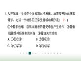冀少版八年级生物上册专项突破4动物的运动与行为课件