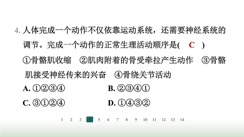 冀少版八年级生物上册专项突破4动物的运动与行为课件第5页