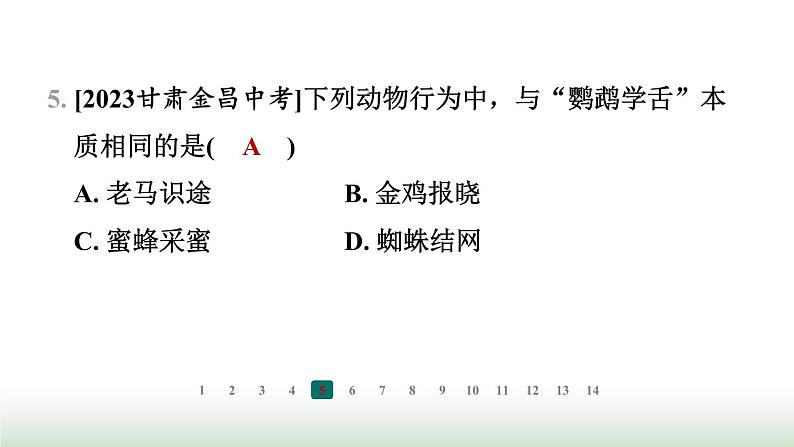 冀少版八年级生物上册专项突破4动物的运动与行为课件第7页