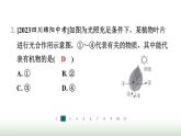 冀少版八年级生物上册专项突破3光合作用和呼吸作用课件