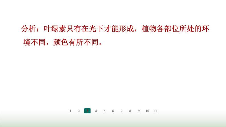 冀少版八年级生物上册专项突破3光合作用和呼吸作用课件第5页