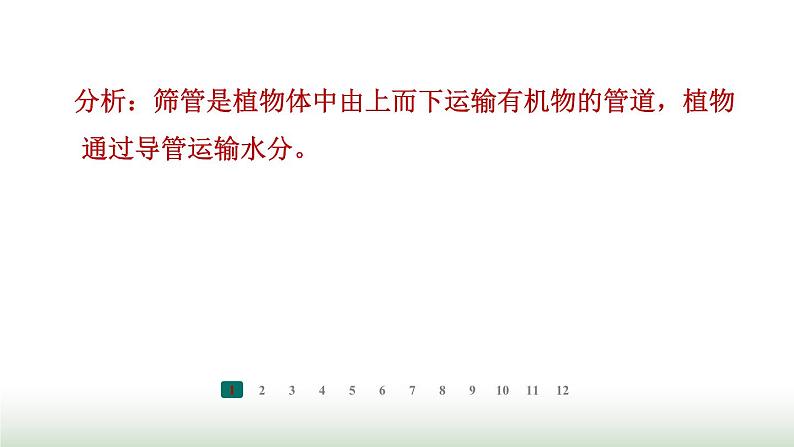 冀少版八年级生物上册专项突破2根对水分的吸收和蒸腾作用课件第3页