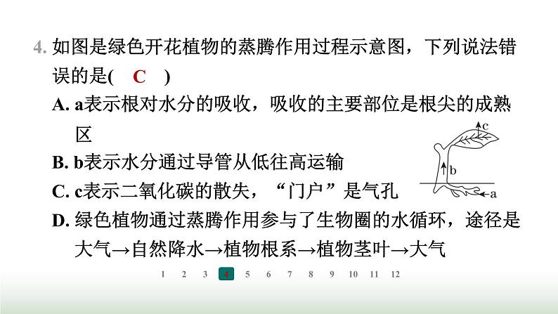 冀少版八年级生物上册专项突破2根对水分的吸收和蒸腾作用课件第7页