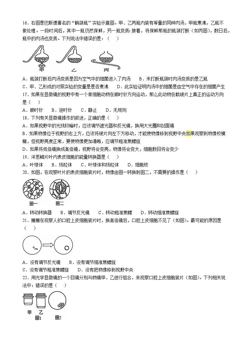山东省德州市宁津县第四实验中学2024-2025学年七年级上学期10月月考生物试题(无答案)第3页