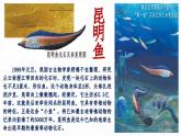 2.2.1 无脊椎动物-初中生物七年级上册 同步教学课件+教学设计（人教版2024）