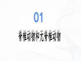 2.2.1 无脊椎动物-初中生物七年级上册 同步教学课件+教学设计（人教版2024）