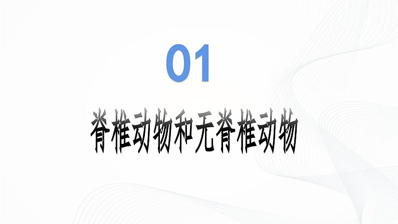 2.2.1 无脊椎动物-初中生物七年级上册 同步教学课件+教学设计（人教版2024）05