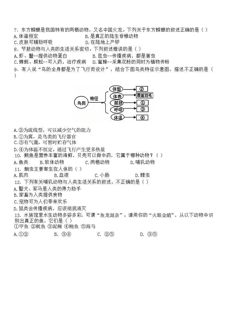 云南省昆明市嵩明县2024-2025学年八年级上学期10月期中生物试题第2页