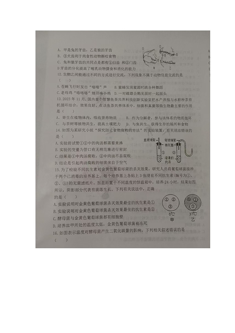 内蒙古巴彦淖尔市杭锦后旗全旗2024-2025学年八年级上学期生物学科期中测试调研卷03