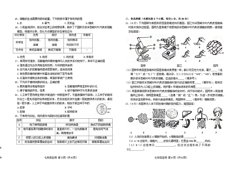 吉林省长春市南关区2024-2025学年七年级上学期10月期中生物试题第2页