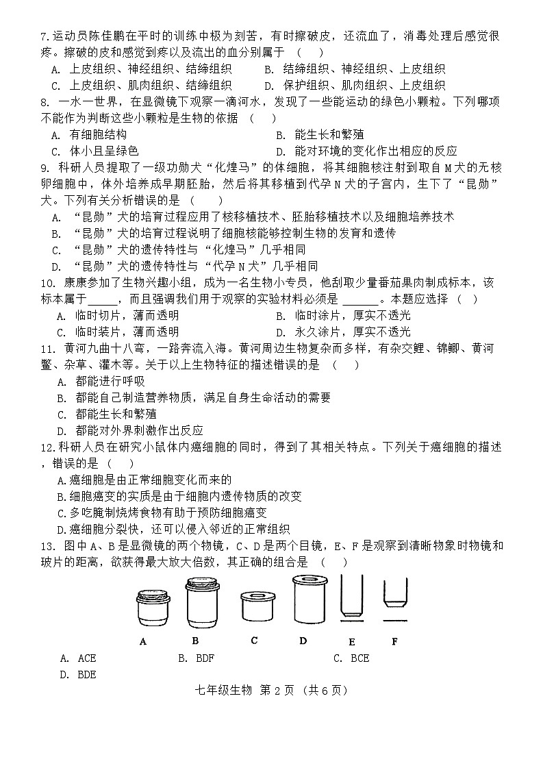 河北省唐山市滦南县2024-2025学年七年级上学期10月期中生物试题第2页