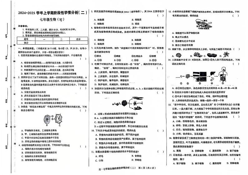 河南省周口市西华县青华中英文学校2024-2025学年七年级上学期10月月考生物试题第1页