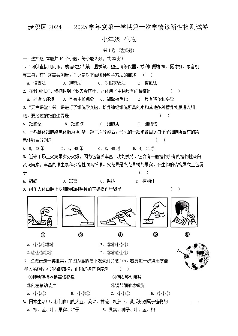 甘肃省天水市麦积区2024-2025学年七年级上学期10月期中生物试题第1页