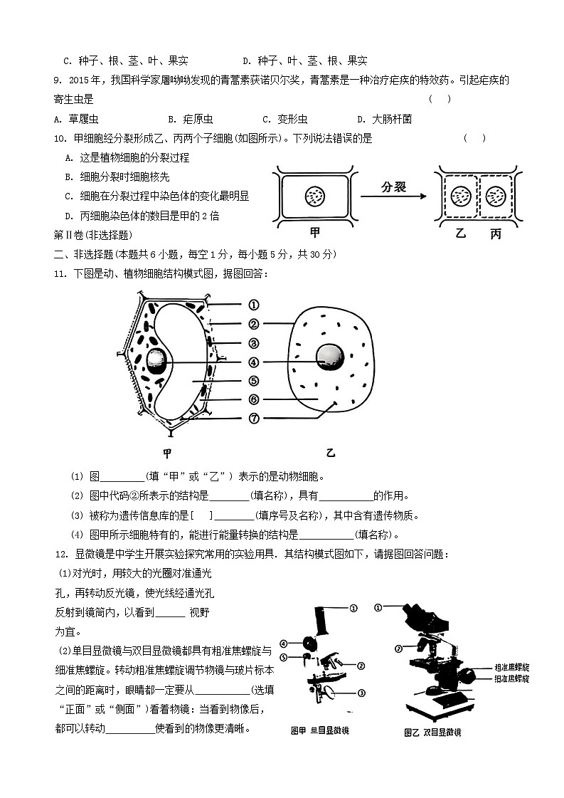 甘肃省天水市麦积区2024-2025学年七年级上学期10月期中生物试题第2页