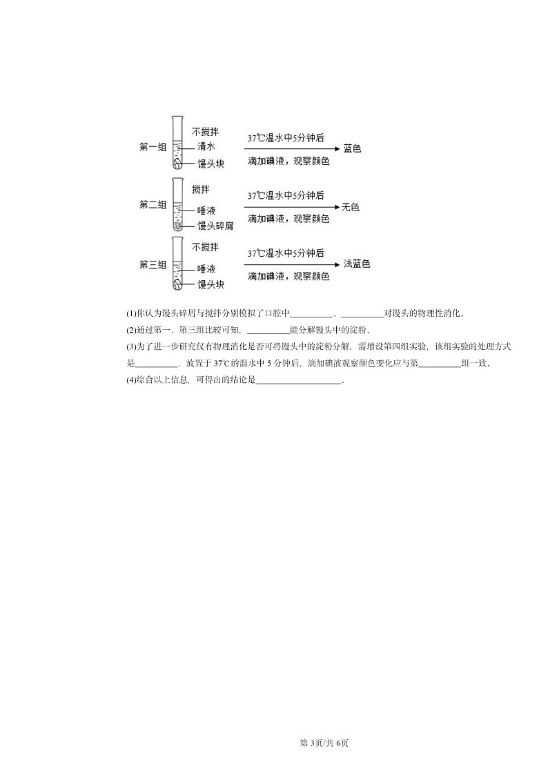 2024北京重点校初一下学期期中真题生物分类汇编：人和动物的营养（京改版）03