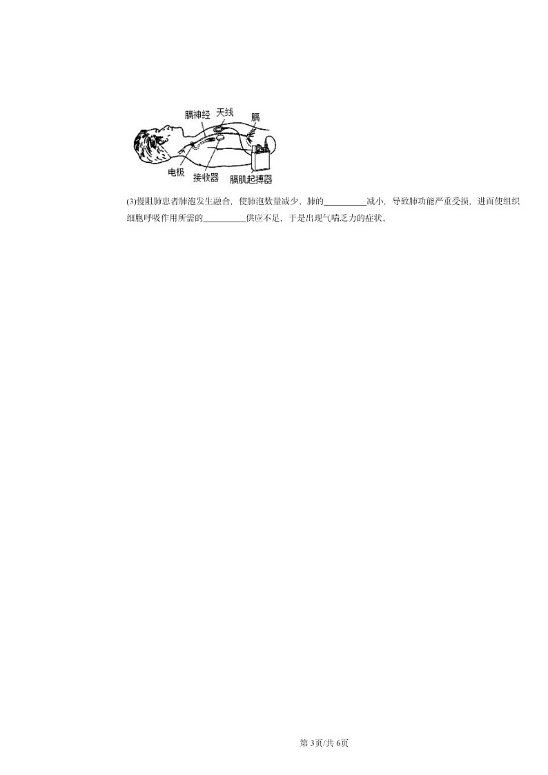 2024北京重点校初一下学期期中真题生物分类汇编：人体的呼吸章节综合03