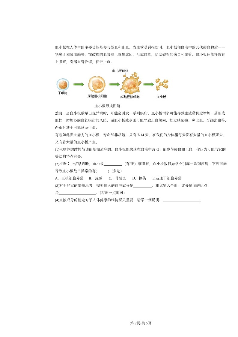 2020～2024北京重点校初一下学期期中真题生物分类汇编：输血与血型第2页
