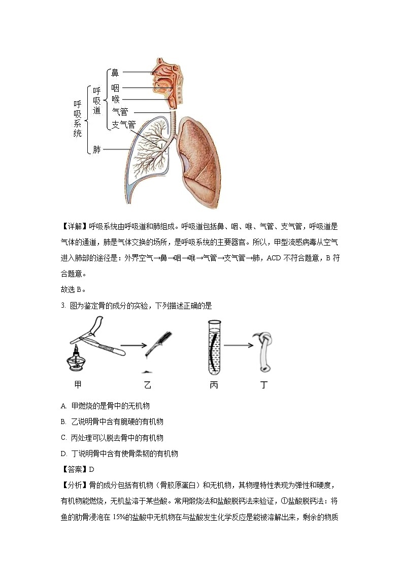 辽宁省沈阳市沈北新区2023-2024学年七年级下学期期中生物试题（解析版）第2页