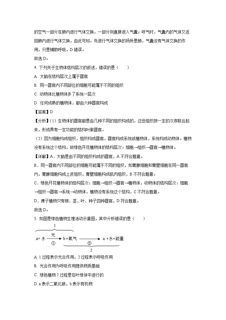 山东省菏泽市郓城县2023-2024学年七年级上学期期末生物试题（解析版）03