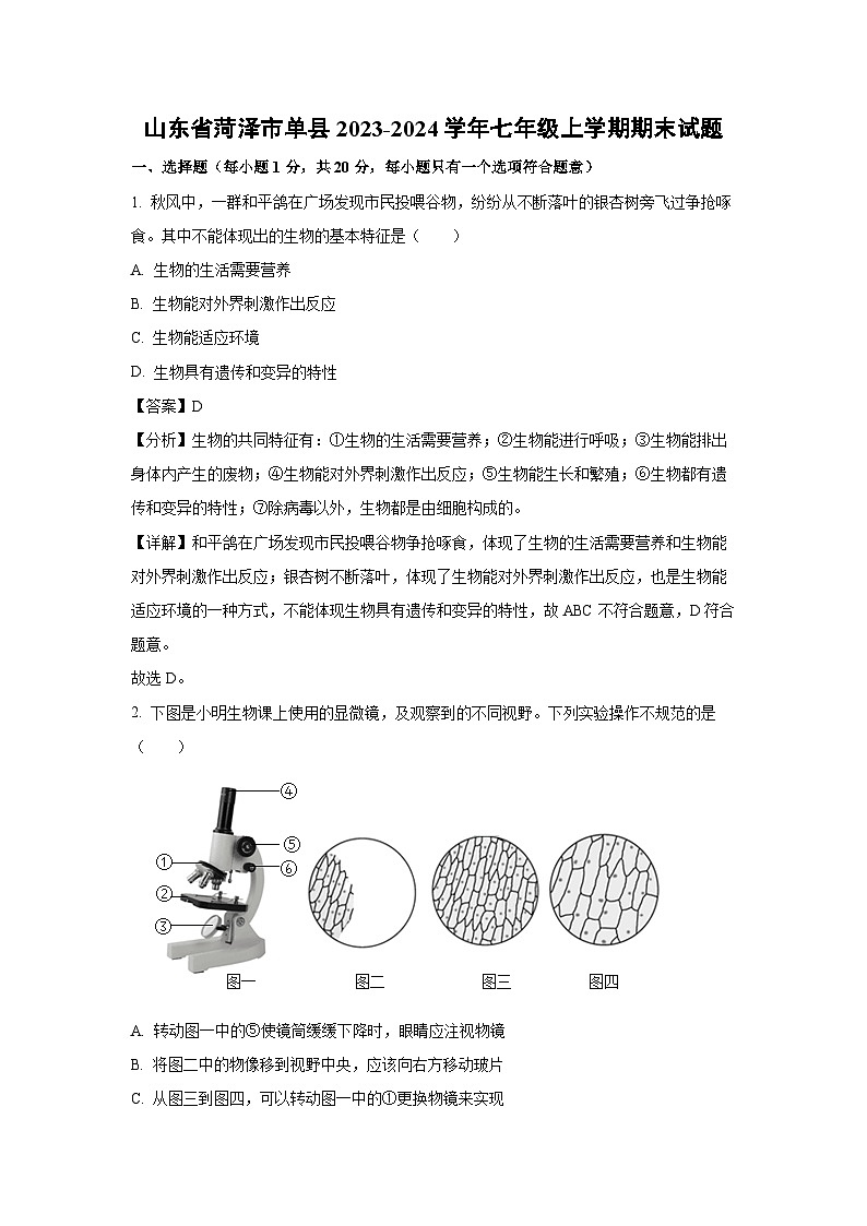 山东省菏泽市单县2023-2024学年七年级上学期期末生物试题（解析版）第1页