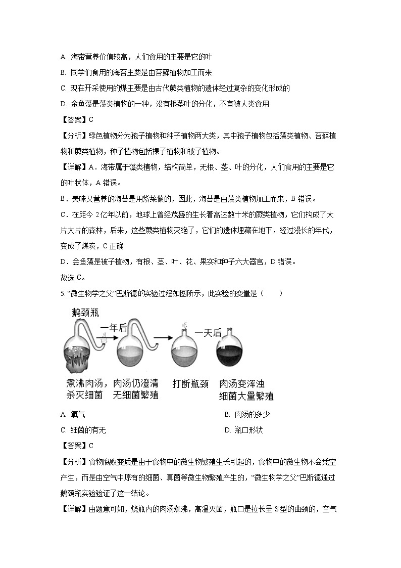山东省菏泽市曹县2023-2024学年七年级上学期期末生物试题（解析版）第3页