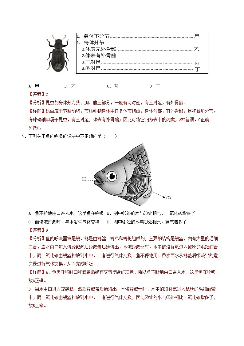 八年级生物期中模拟卷（全解全析）（河南专用）第3页