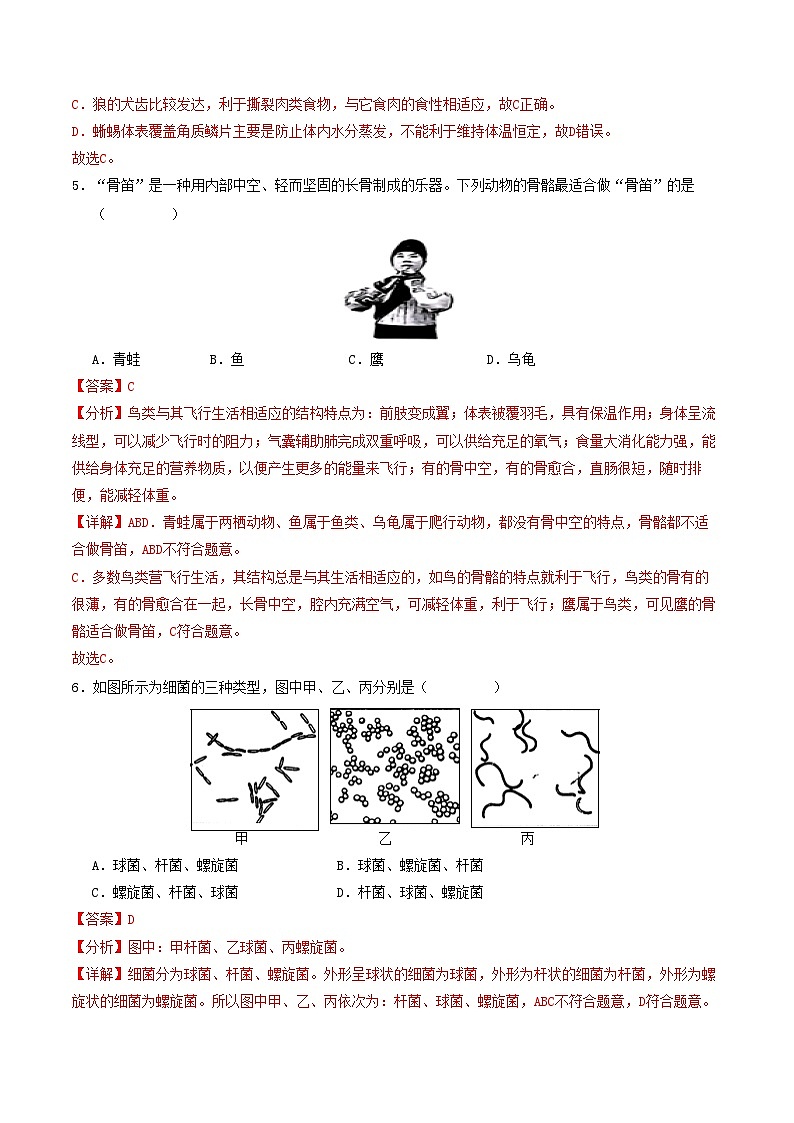 八年级生物期中模拟卷（全解全析）（辽宁专用）第3页
